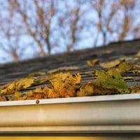 Cleaning Gutters Makes A Lot Of Sense