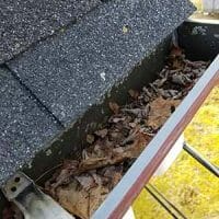 How Often Should I Get My Gutters Cleaned and When?