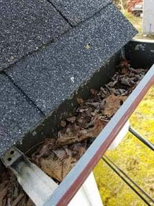 Hamilton gutter cleaning