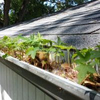 How To Find Gutter Cleaning Near Me